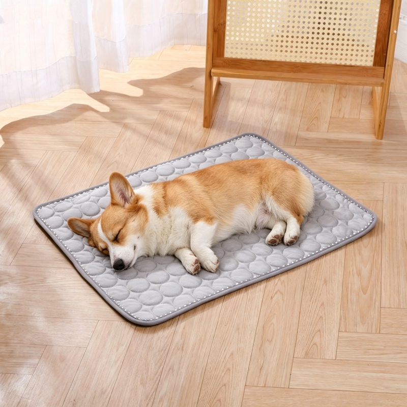 Tapis Rafraîchissant pour Anim - Cooling Blanket Hot Sleepers avis et prix